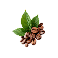 coffee leaf decoration