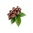 coffee bean decoration