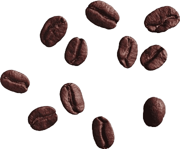 Coffee Roasting Program